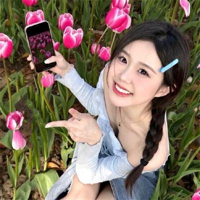 一片丹心